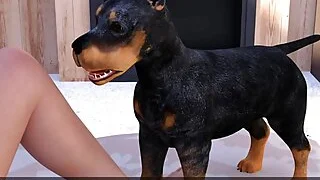 xnxx 15